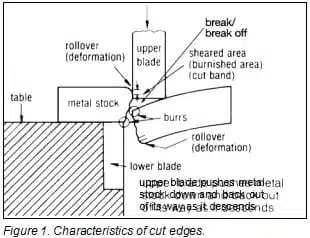 Pictures Nature of Cut Edges
