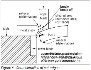 Pictures Nature of Cut Edges