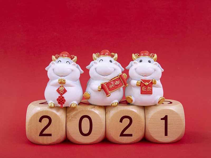 The Chinese Spring Festival Holiday Notice