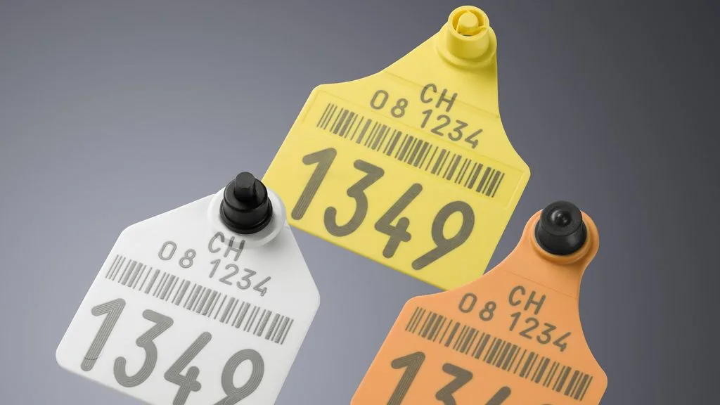 파이버 레이저 절단의 장점: 제조 효율성 및 정밀도 향상 - 레이저 마킹